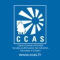CSE de la Caisse Centrale d'Activités Sociales du Personnel des Industries Electrique et Gazière CCAS