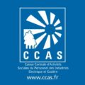 CSE de la Caisse Centrale d'Activités Sociales du Personnel des Industries Electrique et Gazière CCAS
